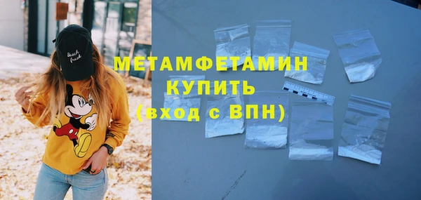 дживик Инта