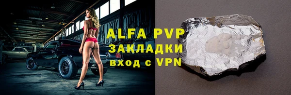 дживик Инта
