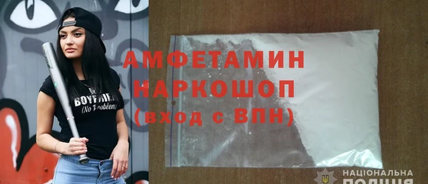 дживик Инта