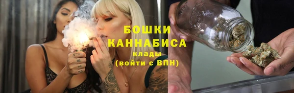 дживик Инта