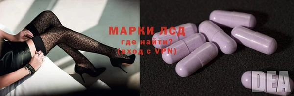 дживик Инта
