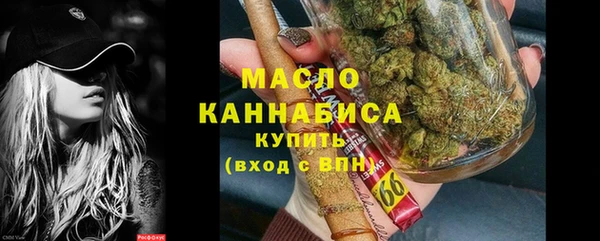 дживик Инта