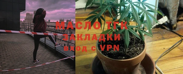 дживик Инта