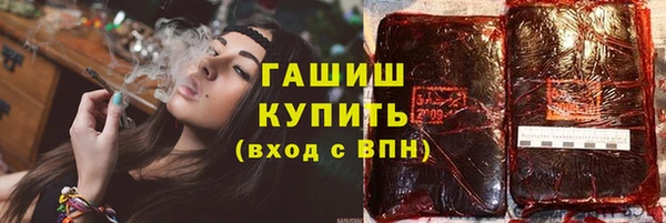 дживик Инта