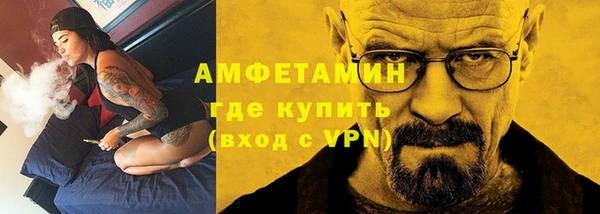 дживик Инта