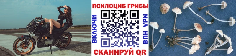 Галлюциногенные грибы мухоморы  Купить  Жирновск 